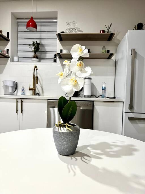 Luxury And Cozy 1 Bed Condo In The Heart Of Providence Extérieur photo